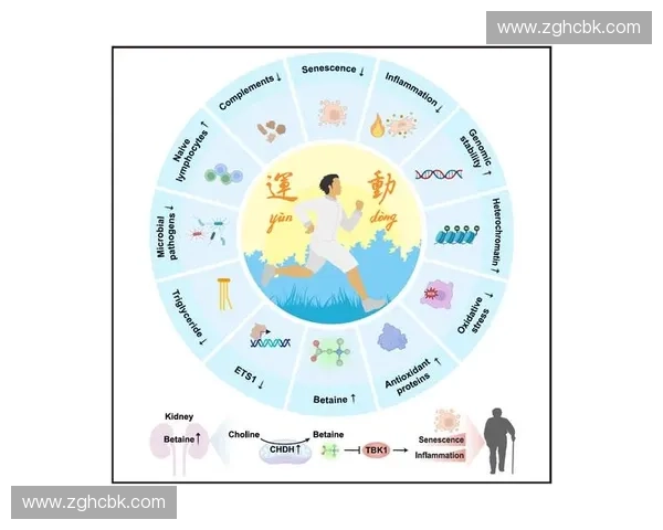 以运动轨迹为核心分析探讨不同运动形式的路径变化及其对运动表现的影响 以运动轨迹为核心分析探讨不同运动形式的路径变化及其对运动表现的影响